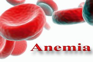 Alimentos saludables contra la Anemia