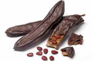 Imagen ilustrativa del artículo Algarroba y sus beneficios como sustituto dietético del Cacao