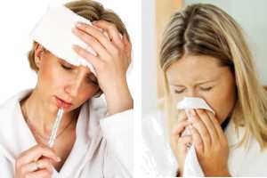 Imagen ilustrativa del artículo Plantas medicinales para Tratar los Síntomas de la Gripe