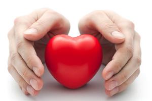 Imagen ilustrativa del artículo Remedios herbales para fortalecer el corazón