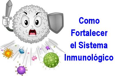 Imagen ilustrativa del artículo Secretos para Fortalecer el Sistema Inmune con la Alimentación