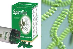 Imagen ilustrativa del artículo Beneficios del Alga Spirulina para adelgazar