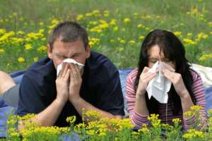 Tratamientos naturales para las Alergias de Primavera 