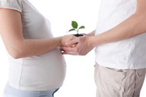 Cómo Aumentar Tu Fertilidad desde la Alimentación