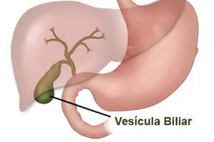 Cuidado natural de la vesícula biliar a través de la alimentación