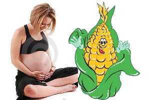 Imagen ilustrativa del artículo El Maíz complemento natural en el Embarazo