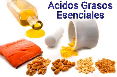 Alimentos que contienen ácidos grasos esenciales