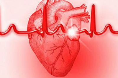 Imagen ilustrativa del artículo Alimentos beneficiosos para la Hipertensión Arterial