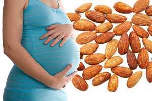 Imagen ilustrativa del artículo Almendras en el Embarazo 