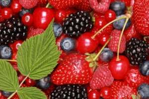 Frutos silvestres, la mejor fuente de Antioxidantes Naturales