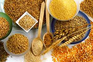 Imagen ilustrativa del artículo Beneficios para la salud de los cereales integrales