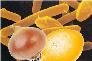 Imagen ilustrativa del artículo Remedios Naturales para Tratar y Prevenir el Cólera