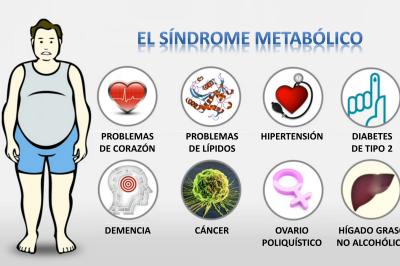 Alimentación en casos de Síndrome Metabólico