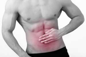 Imagen ilustrativa del artículo El Estragón, para la digestión pesada y la Acidez Estomacal
