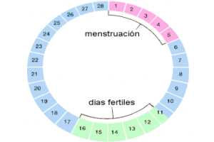 Imagen ilustrativa del artículo Remedios naturales para la Menstruación irregular